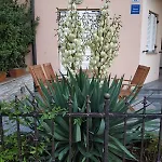 Casa Olea Dom wakacyjny *