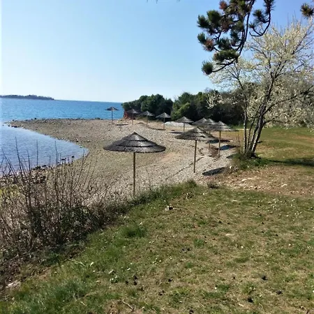 Casa vacanze Casa Olea