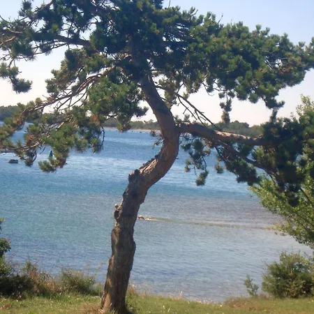 Сasa de vacaciones Casa Olea Tar-Vabriga