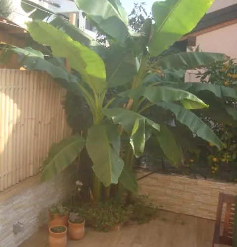 Сasa de vacaciones Casa Olea *