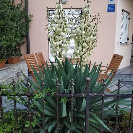 Casa Olea Dom wakacyjny *