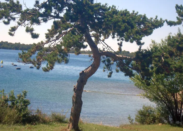 Vakantiehuis Casa Olea Tar-Vabriga