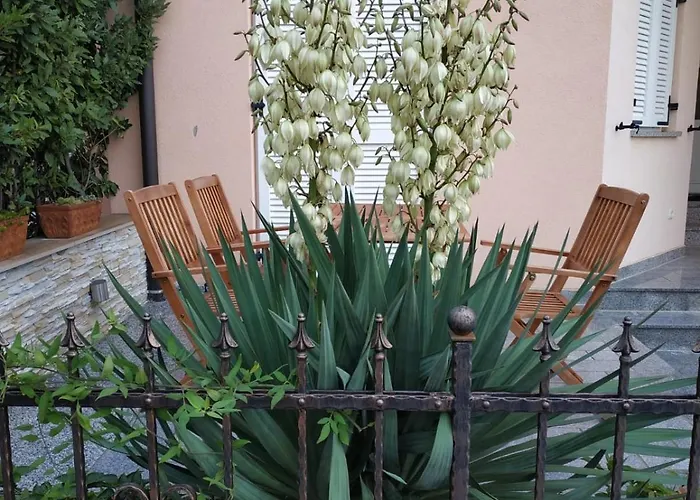 Casa Olea Vakantiehuis *